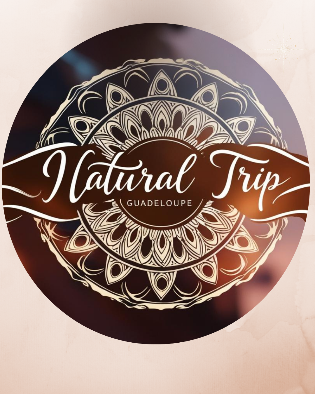 Logo Natural Trip Guadeloupe