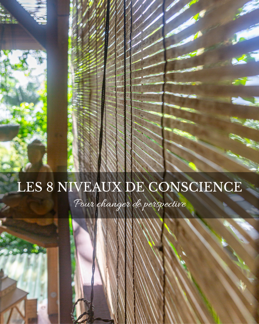 LES 8 NIVEAUX DE CONSCIENCE-4
