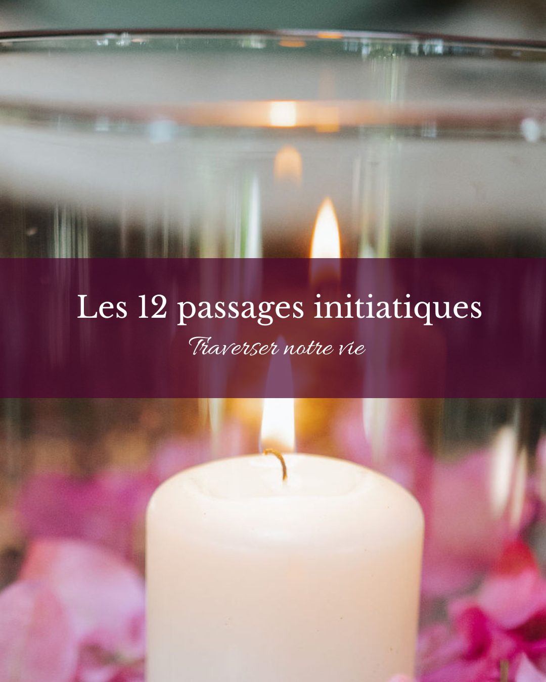 Les 12 pas sages les 12