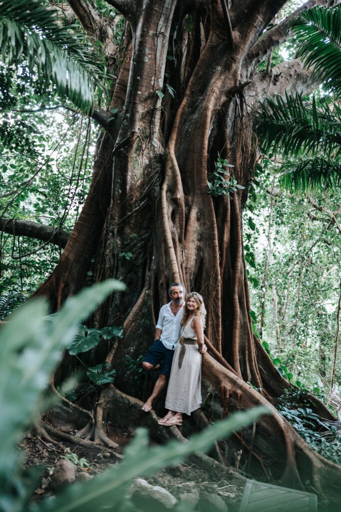 Le grand arbre de Natural Trip